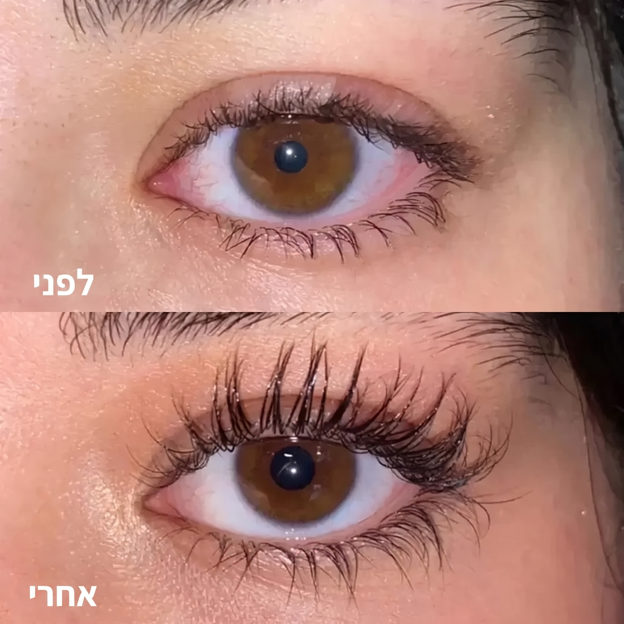 סרום להארכת ריסים
